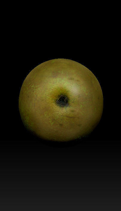fresh pear Low-poly 3D model_11