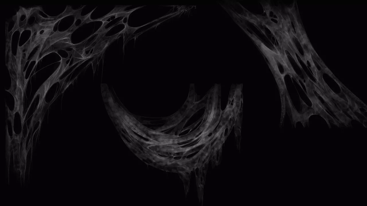 Spider Web 3D model