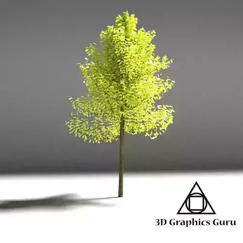 HD Tree 2 3D model