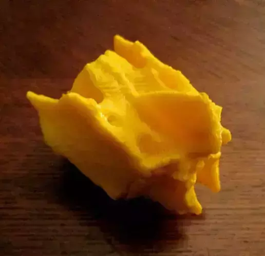 Ethmoid Bone of the Human Cranium Free 3D print model