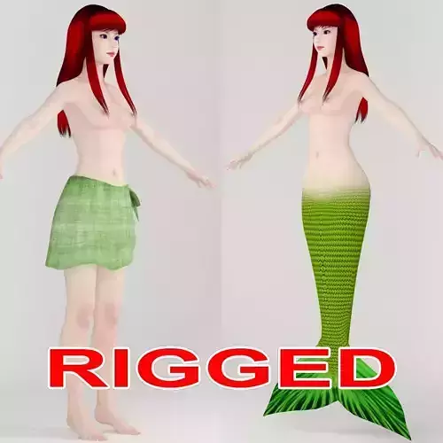 T pose rigged model of little mermaid and human form 3D model