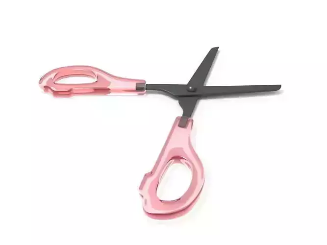 scissors pair of