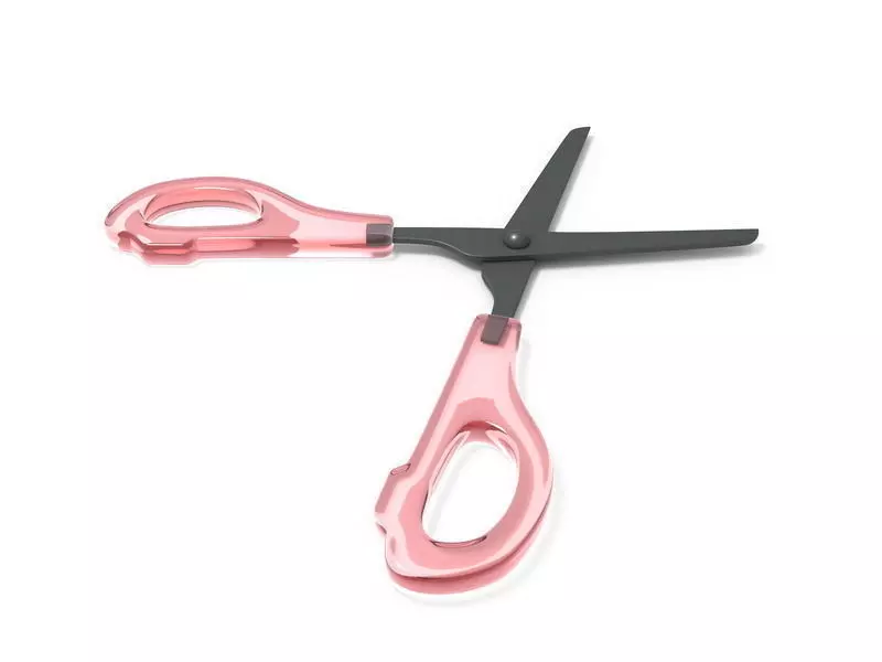 scissors pair of 3D model_0