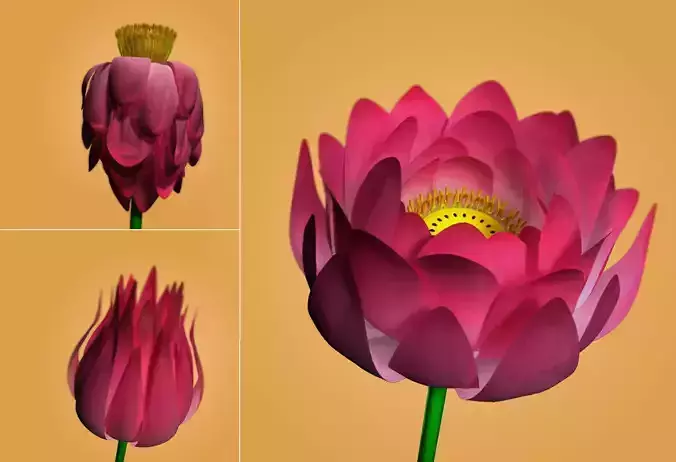 Lotus Flower Rig Free 3D model