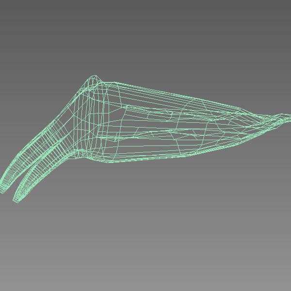 Cuttlefish 2 3D model_7