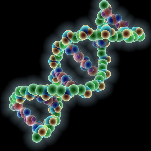 DNA molecule 3D model