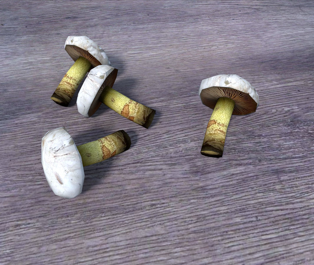 low poly mushrooms pack Low-poly 3D model_3