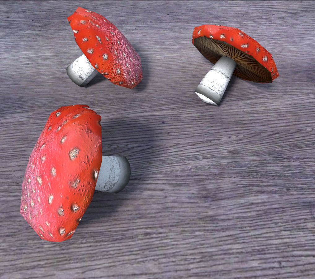 low poly mushrooms pack Low-poly 3D model_4