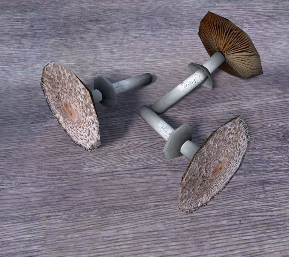 low poly mushrooms pack Low-poly 3D model_5