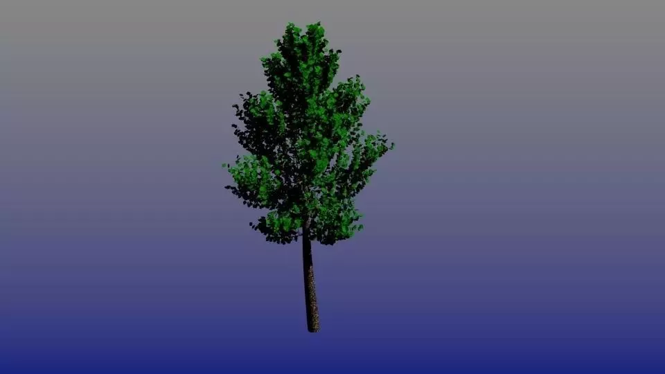 Beautiful tree Free low-poly 3D model_0