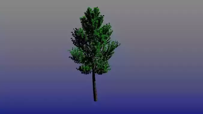 Beautiful tree Free low-poly 3D model