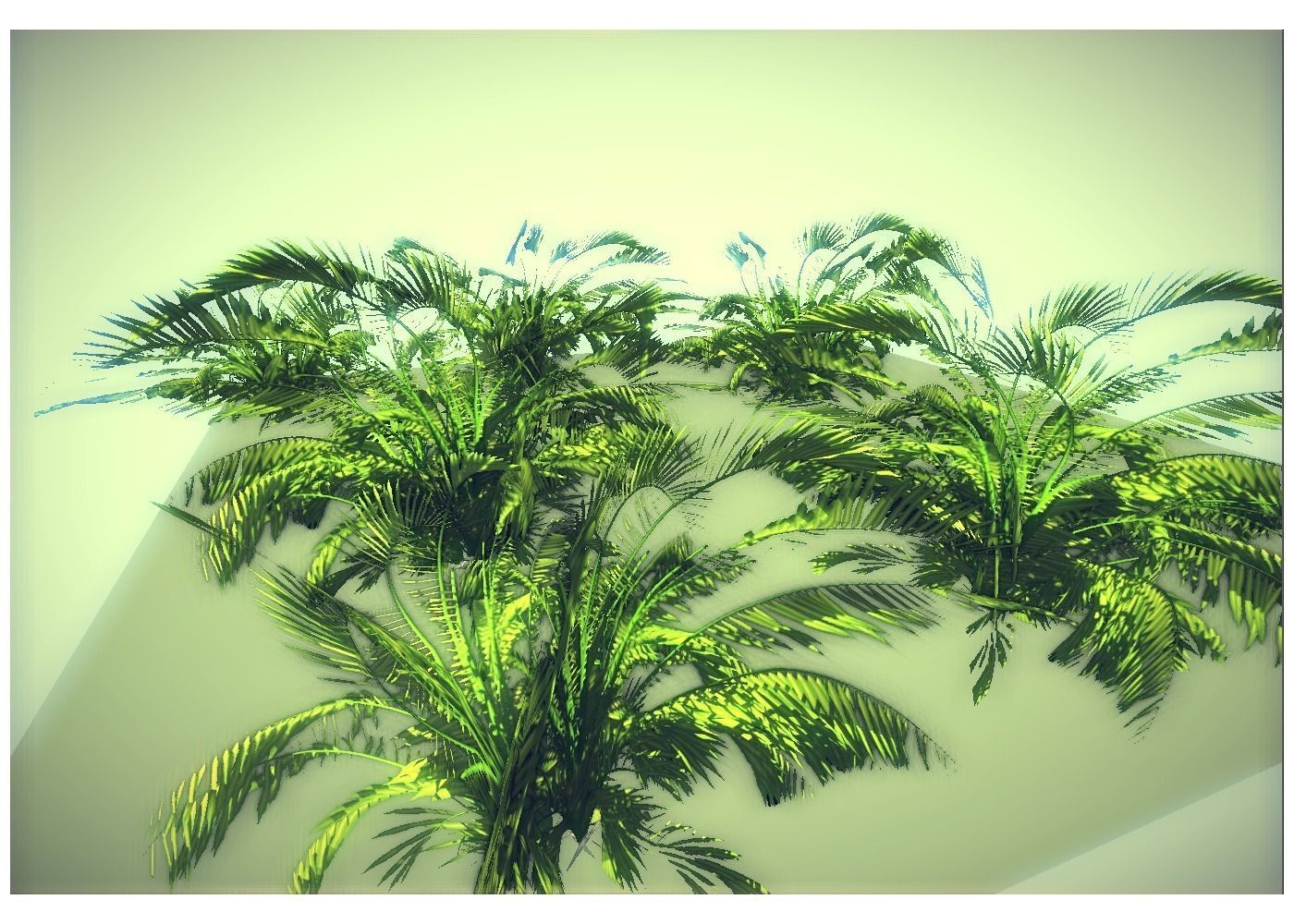 low poly jungle plant Low-poly 3D model_4