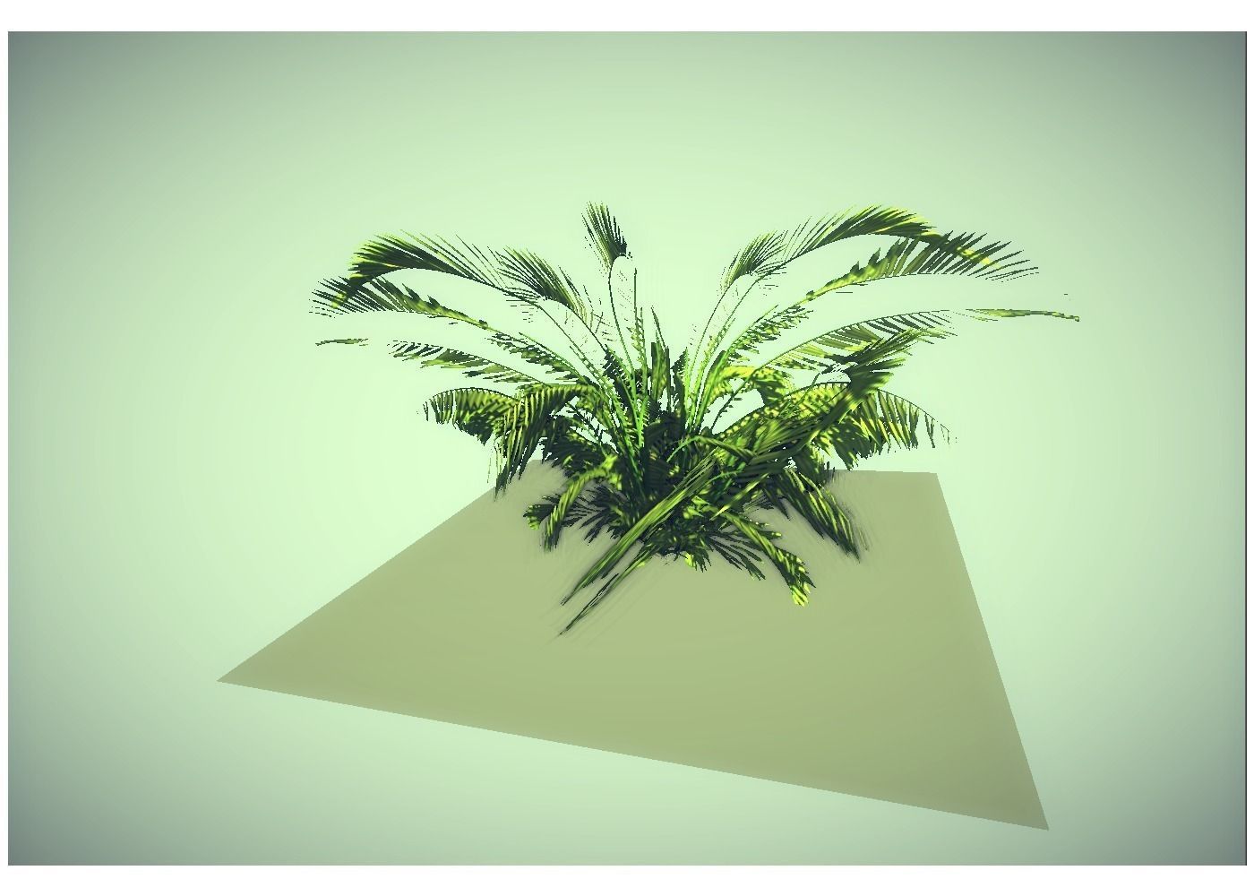 low poly jungle plant Low-poly 3D model_2