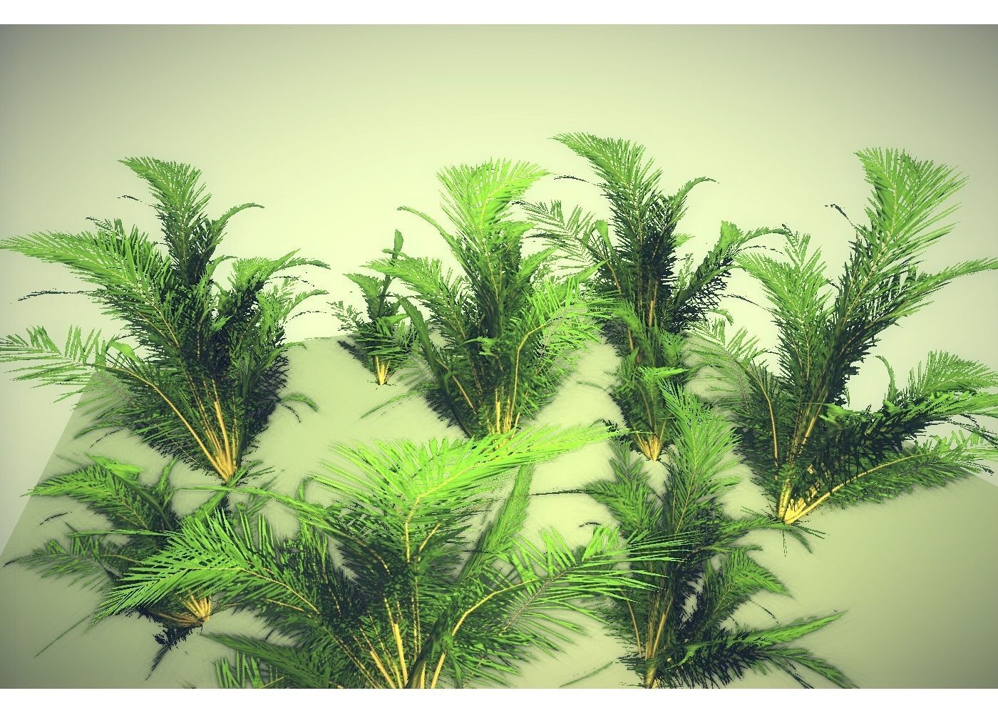 low poly tropical shrub Low-poly 3D model_0