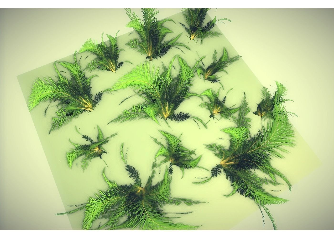 low poly tropical shrub Low-poly 3D model_7