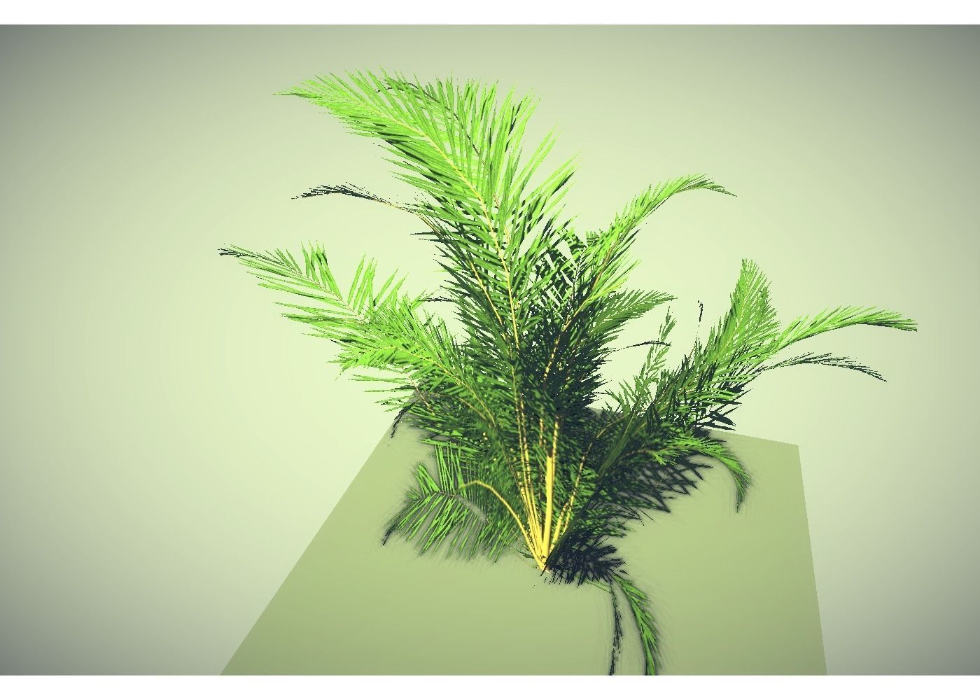 low poly tropical shrub Low-poly 3D model_3