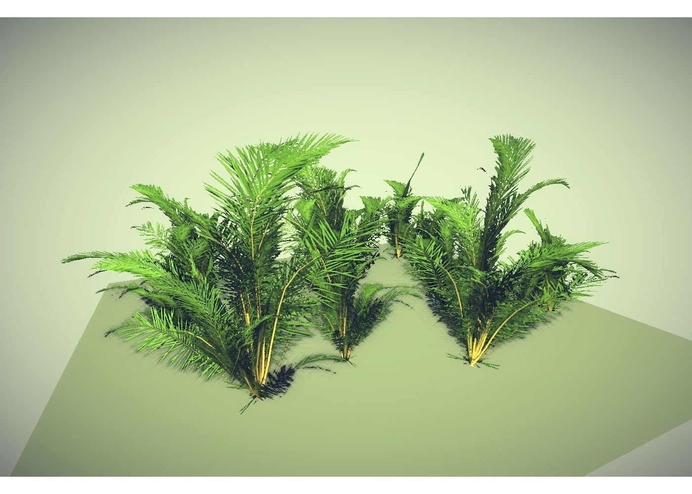 low poly tropical shrub Low-poly 3D model_5