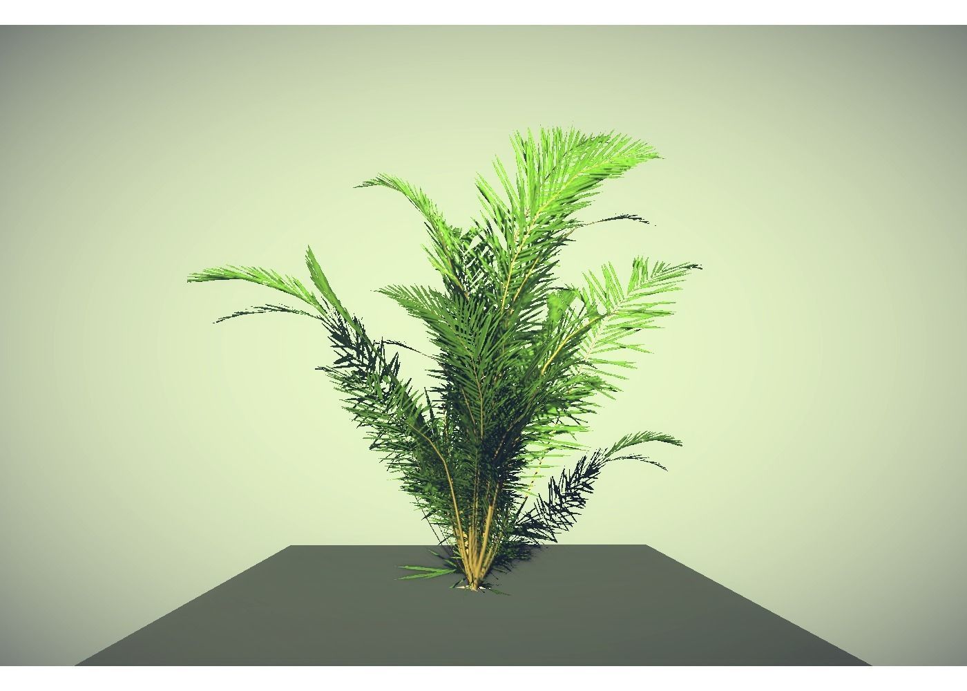 low poly tropical shrub Low-poly 3D model_2