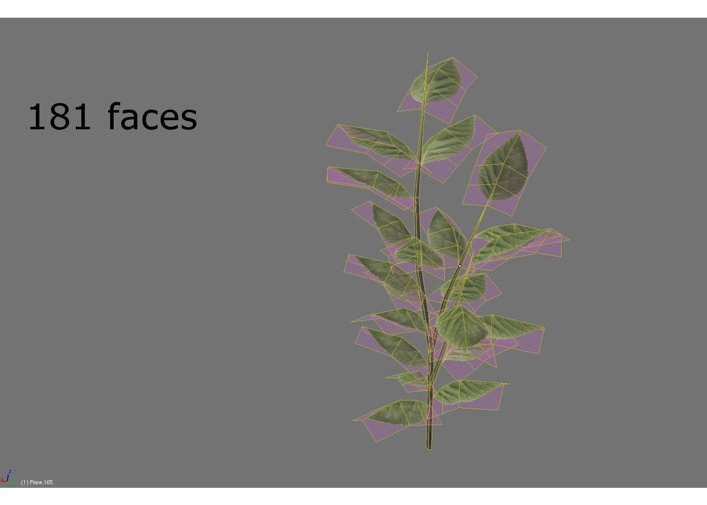 low poly meadow plant 3D model_3