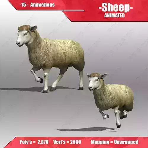 Sheep Animated Low-poly 3D model