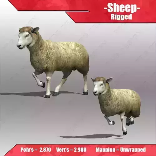Sheep rigged 3D model