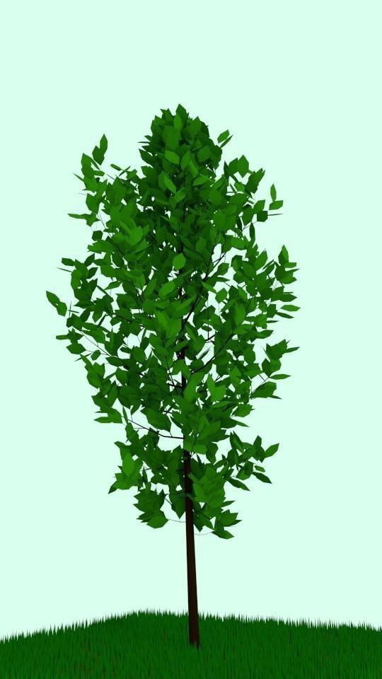 Tree-realistic-rigged tree in grass 3D model