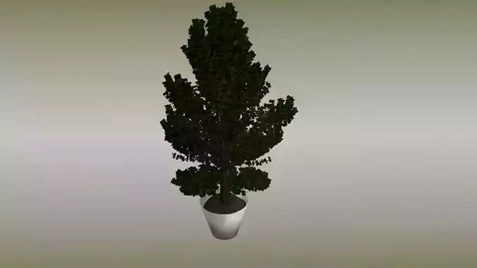 Plant in vase Free low-poly 3D model