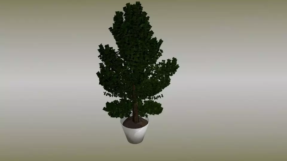 Plant in vase Free low-poly 3D model_0