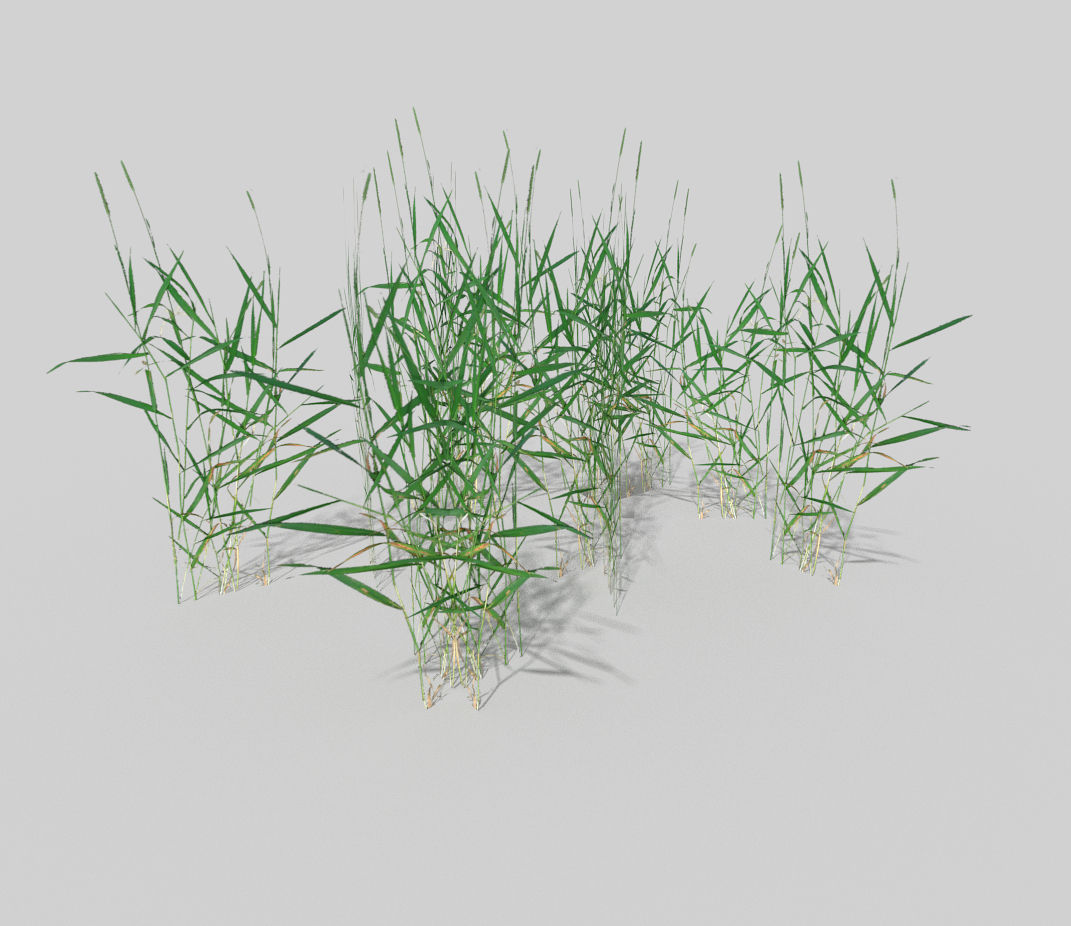 low poly grass pack Low-poly 3D model_4