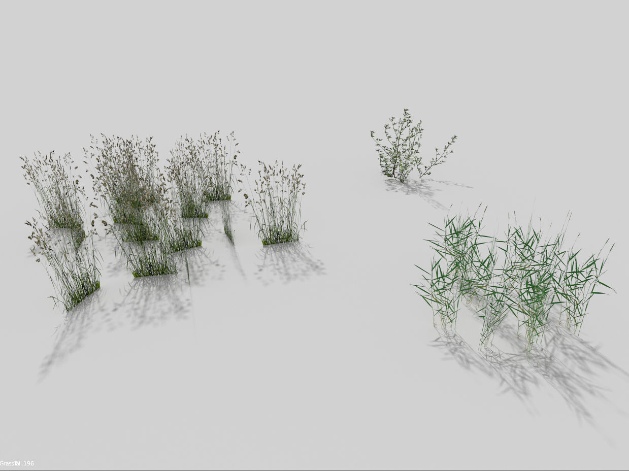 low poly grass pack Low-poly 3D model_2