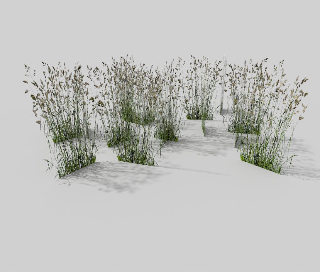 low poly grass pack Low-poly 3D model_3