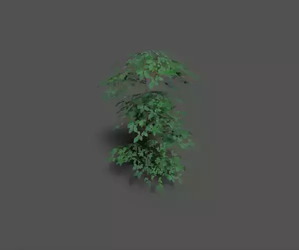 low poly forest tree