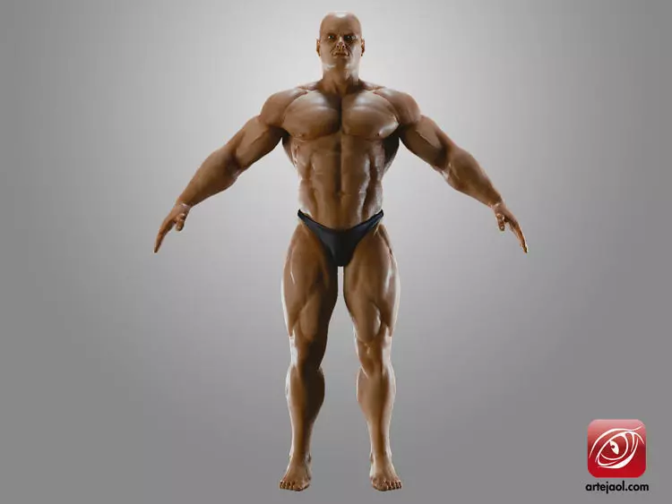 BodybuilderB male bodybuilder 3D model_0