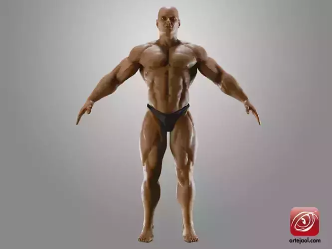 BodybuilderB male bodybuilder 3D model