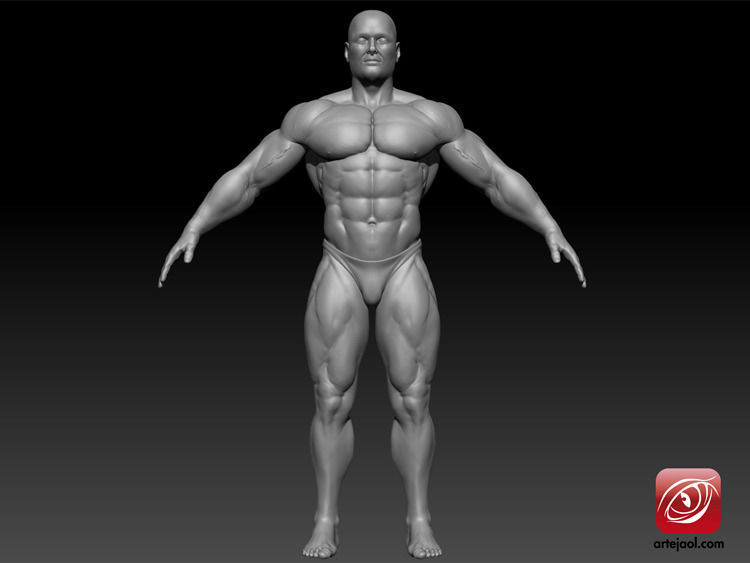 BodybuilderB male bodybuilder 3D model_2