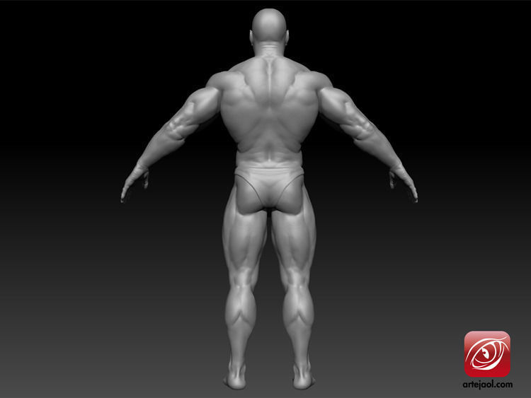 BodybuilderB male bodybuilder 3D model_4