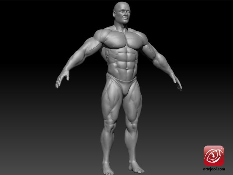 BodybuilderB male bodybuilder 3D model_3
