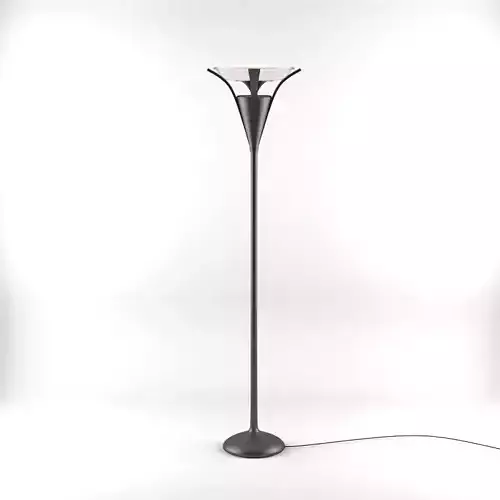 Modern Floor Lamp