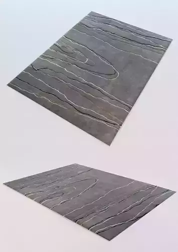 Carpet rug with lines