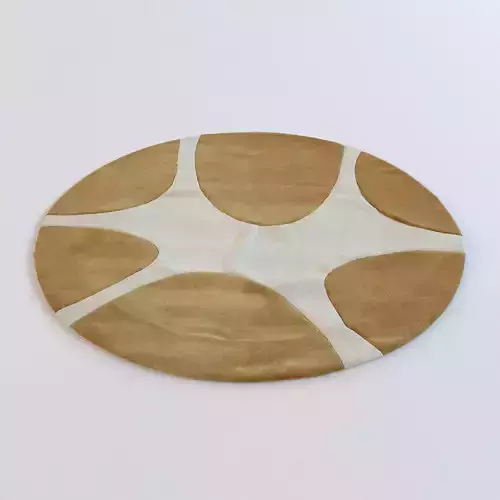 Carpet tan and area rug