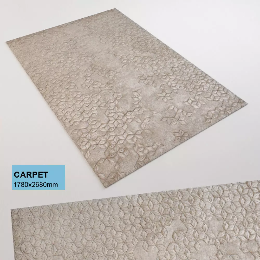 Carpet rug with pattern 3D model_0