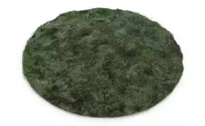 Round Carpet 3D model