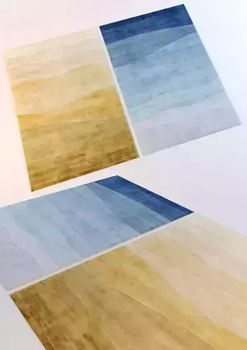 Carpet three different rugs