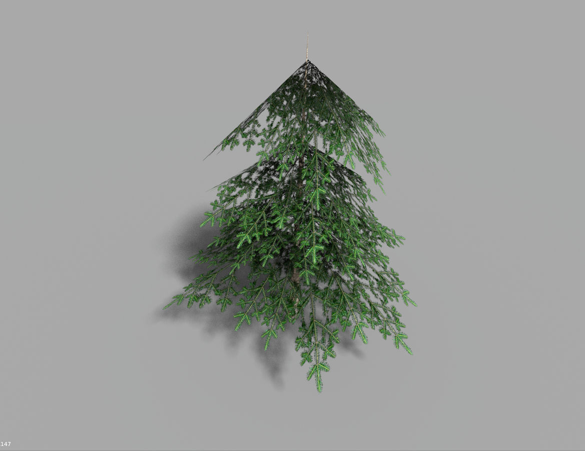 low poly pine 1 tree Low-poly 3D model_3