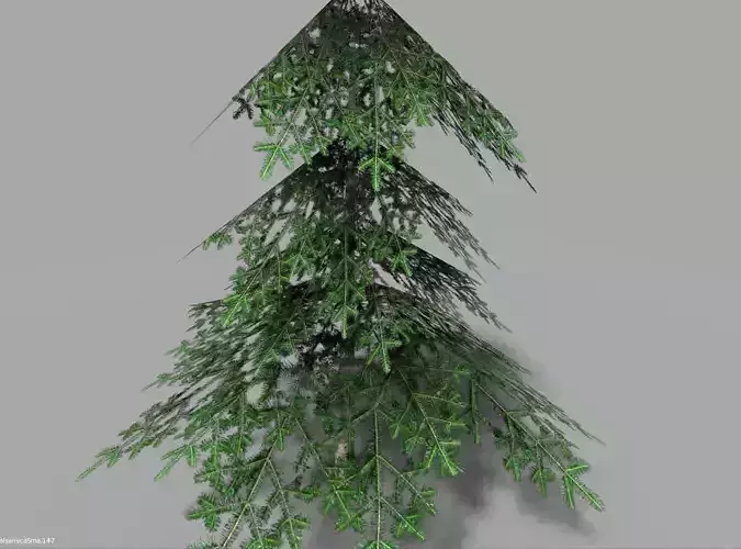 low poly pine 1 tree Low-poly 3D model