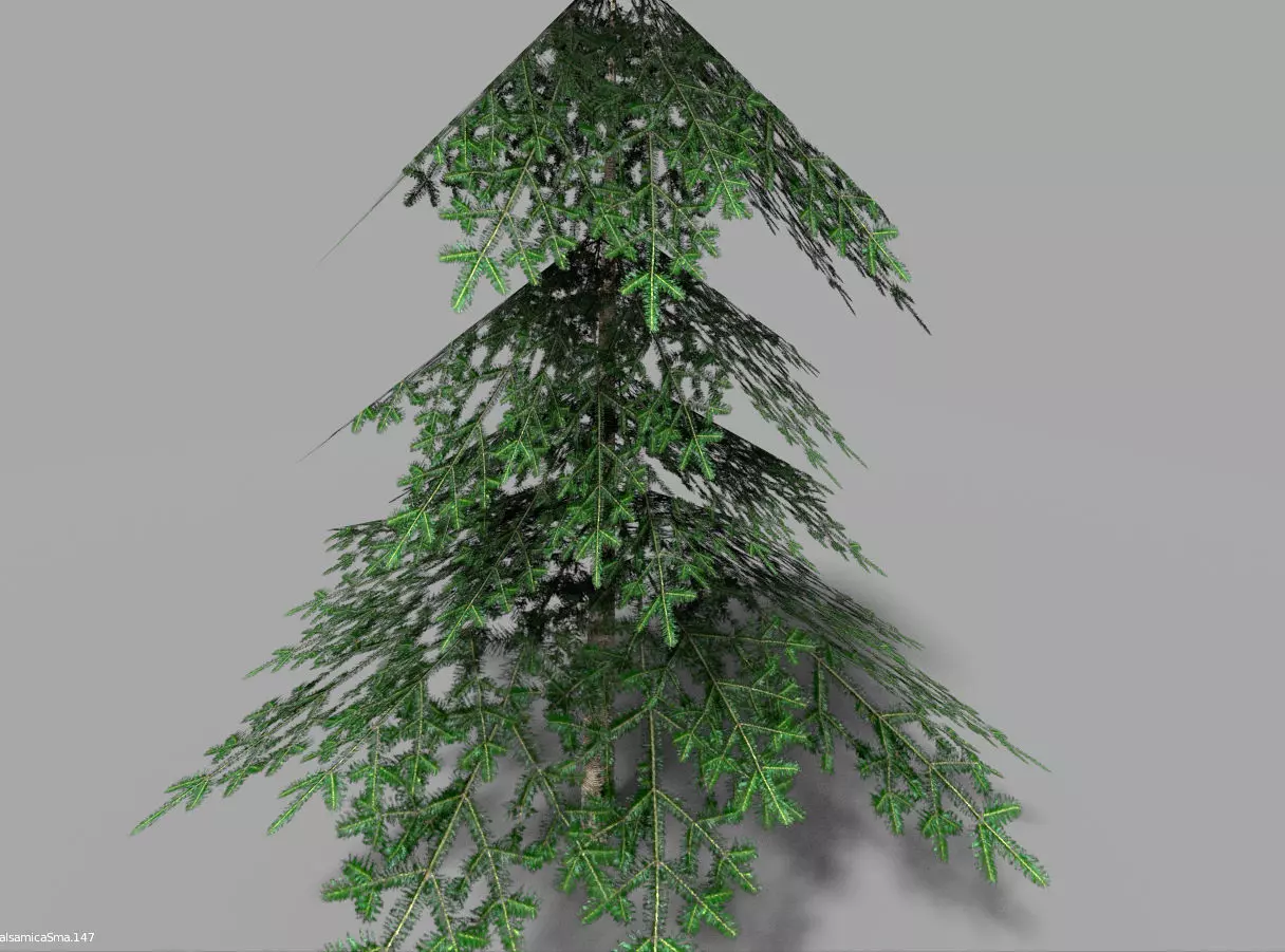low poly pine 1 tree Low-poly 3D model_0