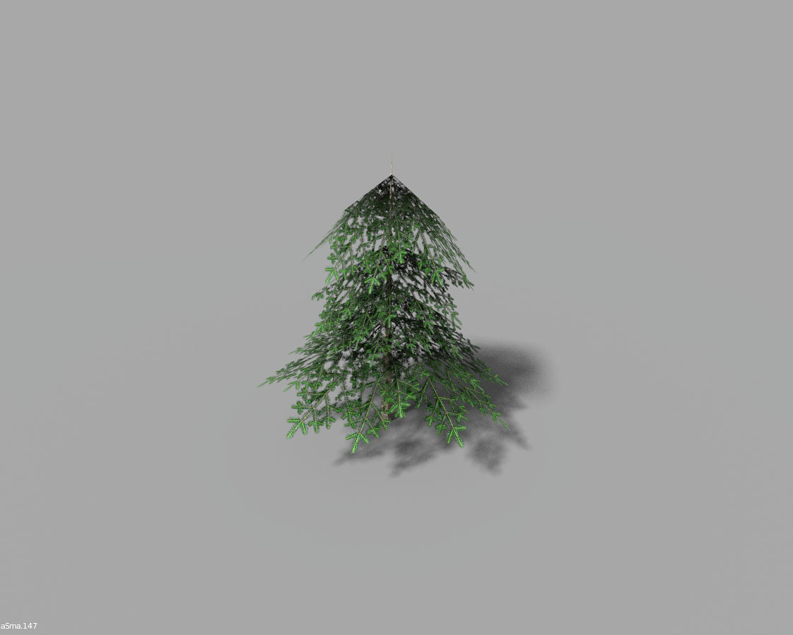 low poly pine 1 tree Low-poly 3D model_1