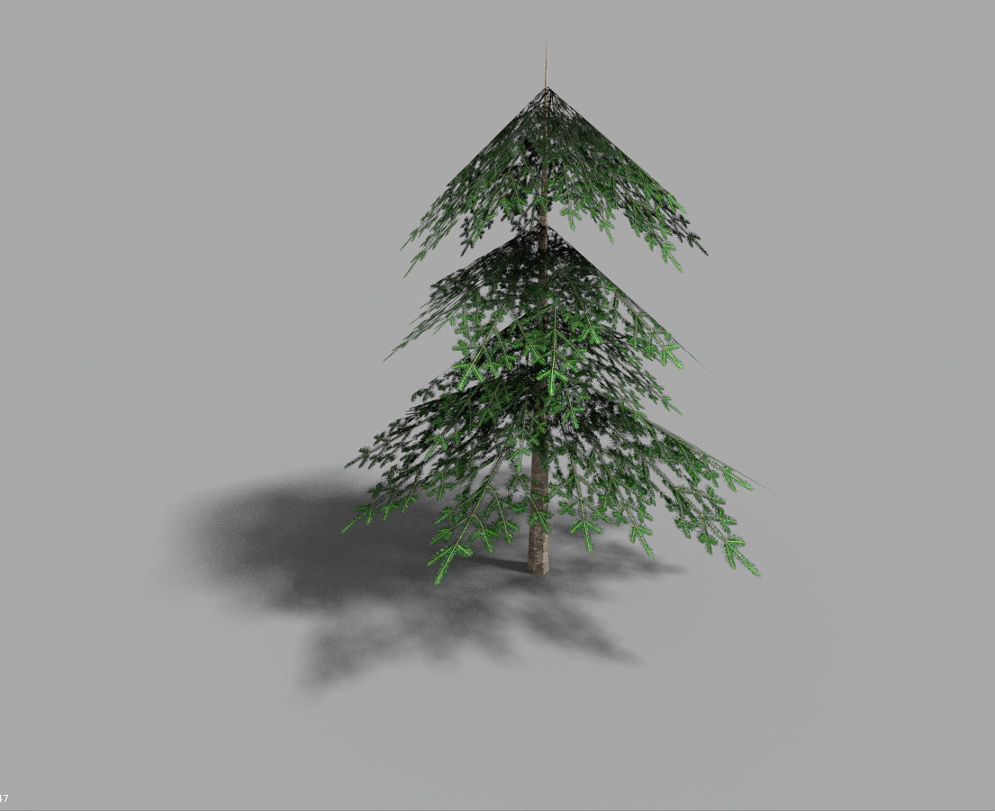 low poly pine 1 tree Low-poly 3D model_2