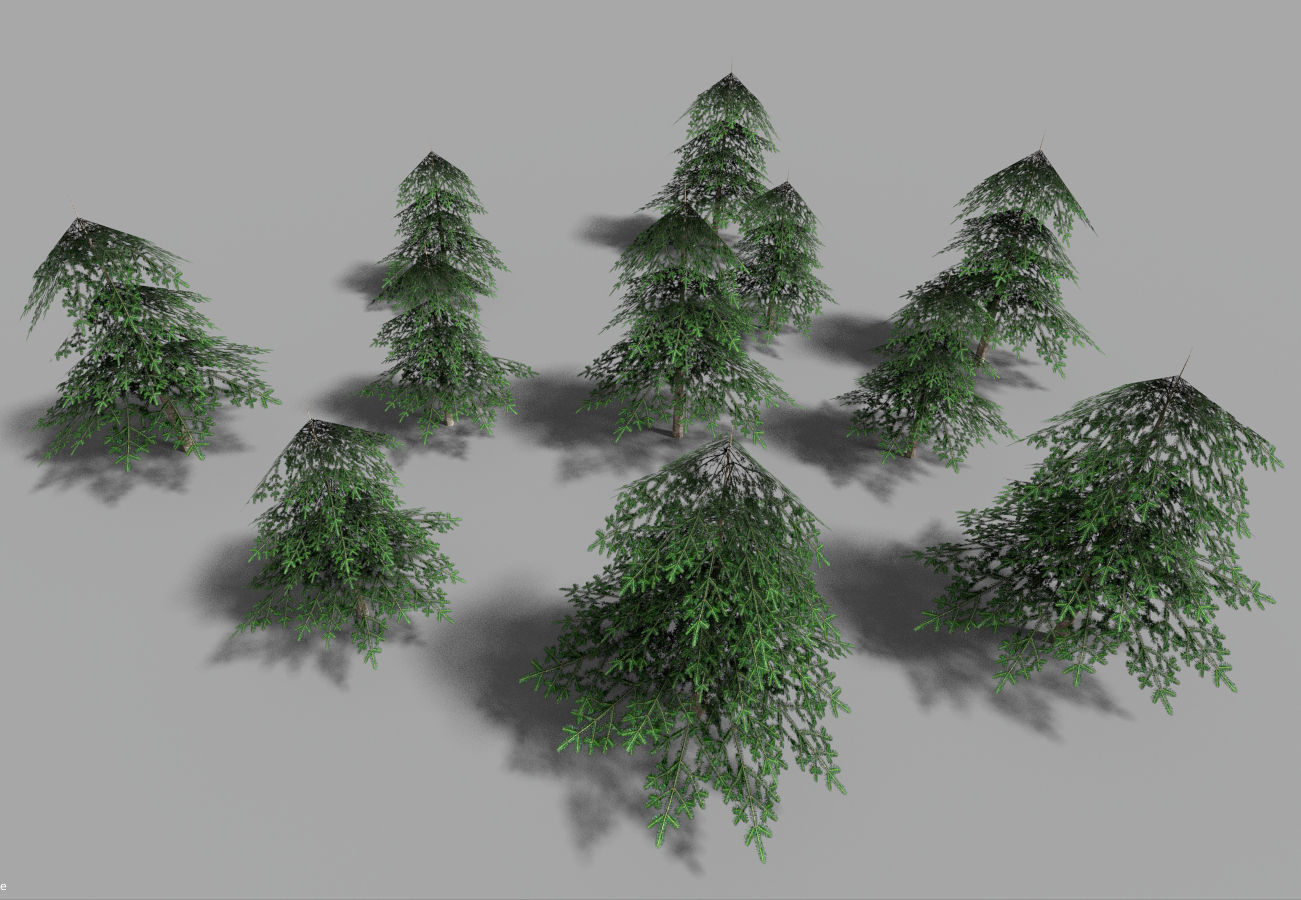 low poly pine 1 tree Low-poly 3D model_7