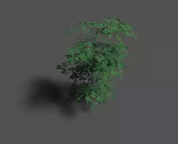 low poly forest tree 1 Low-poly 3D model